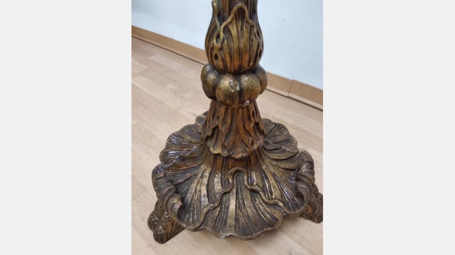 Tocheiro centenário