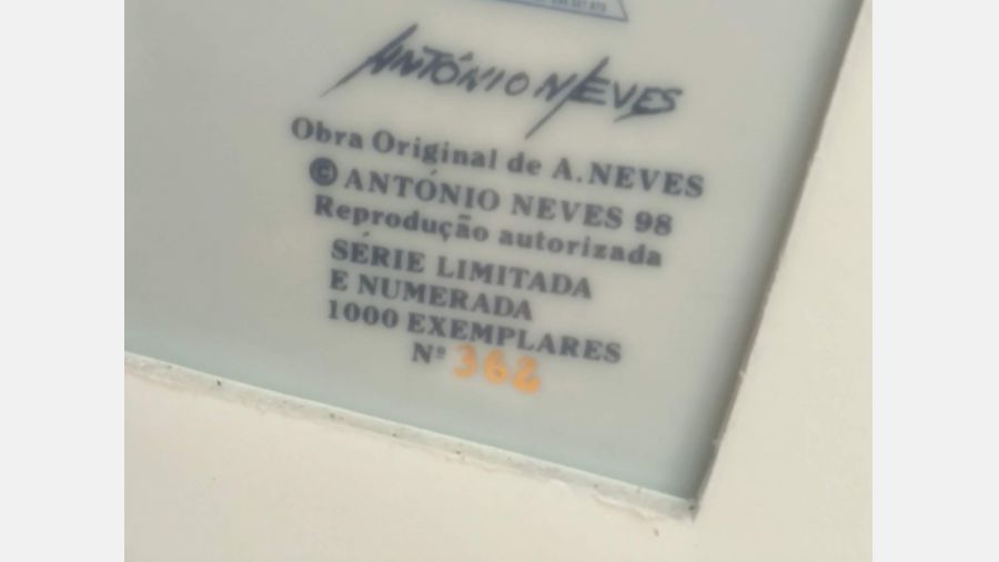 Prato Moliceiro da Costa Nova