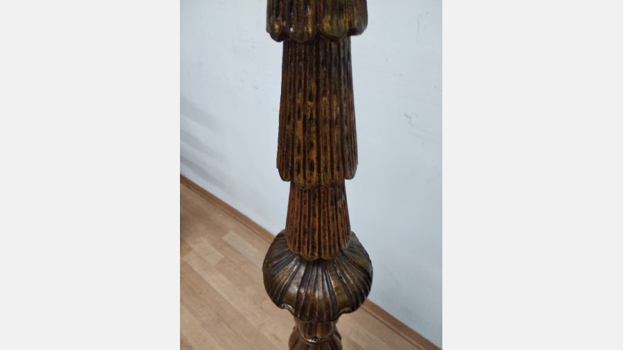 Tocheiro centenário