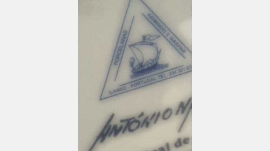 Prato Moliceiro da Costa Nova