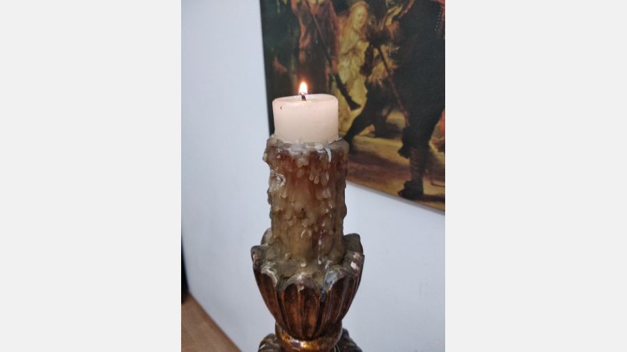 Tocheiro centenário