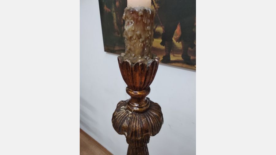 Tocheiro centenário